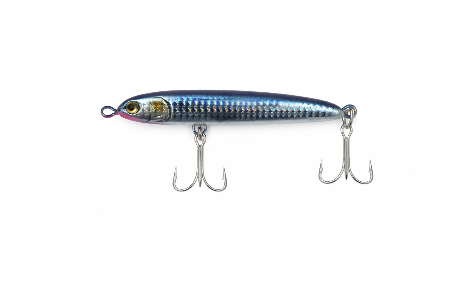 BLUE SARDINE