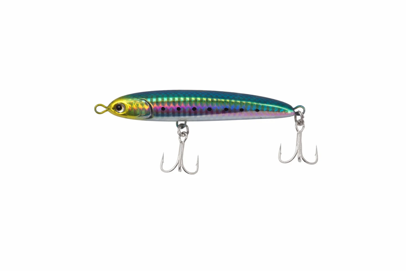 REAL SARDINE