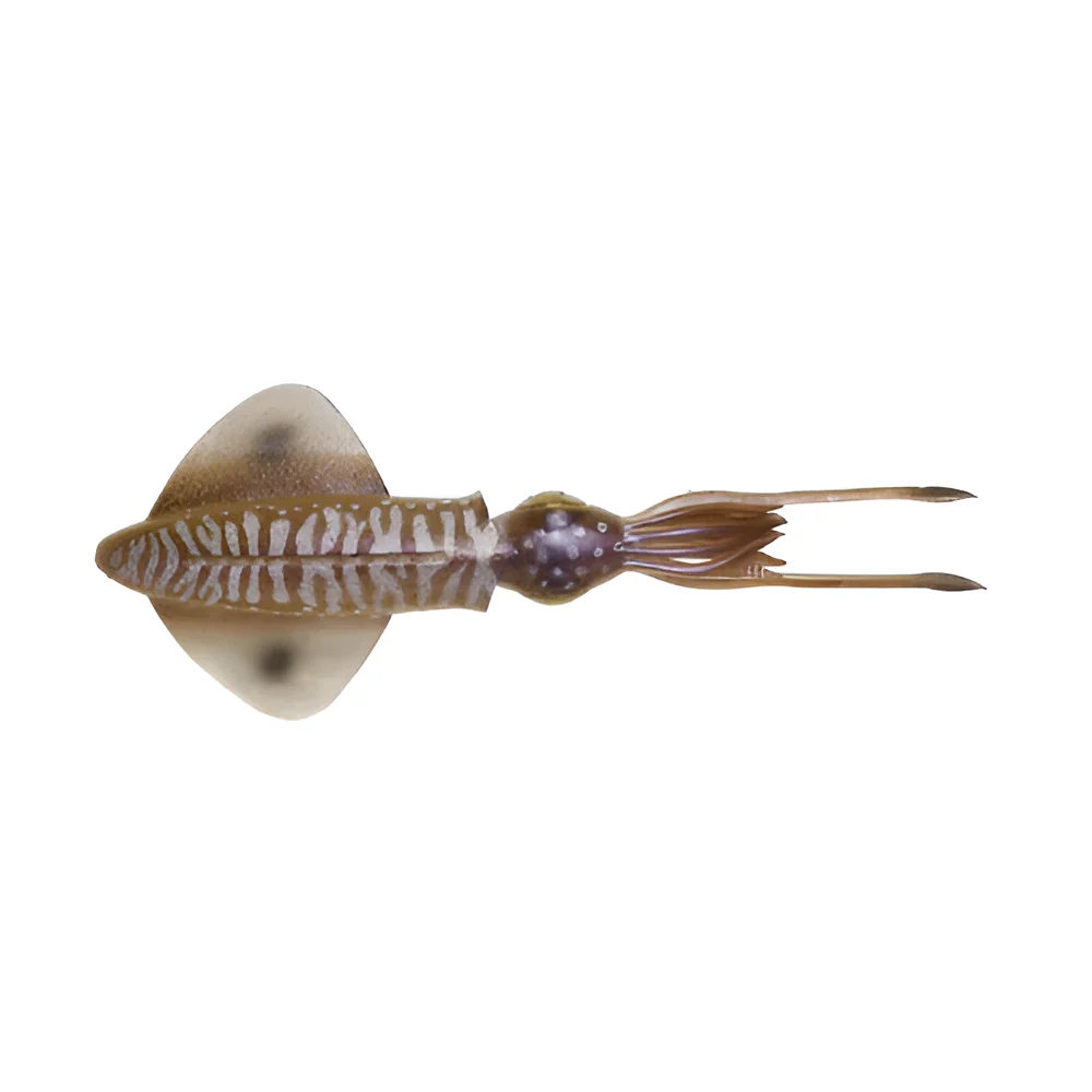 CUTTLEFISH