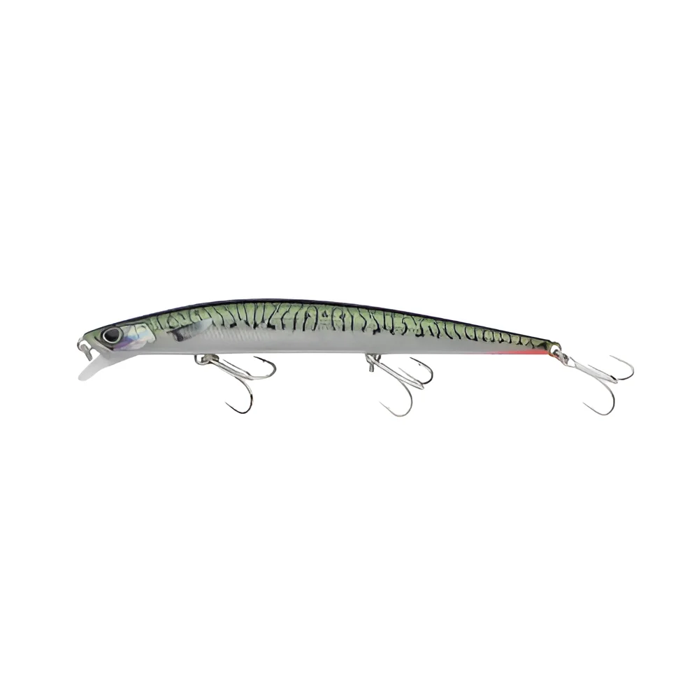 GREEN MACKEREL
