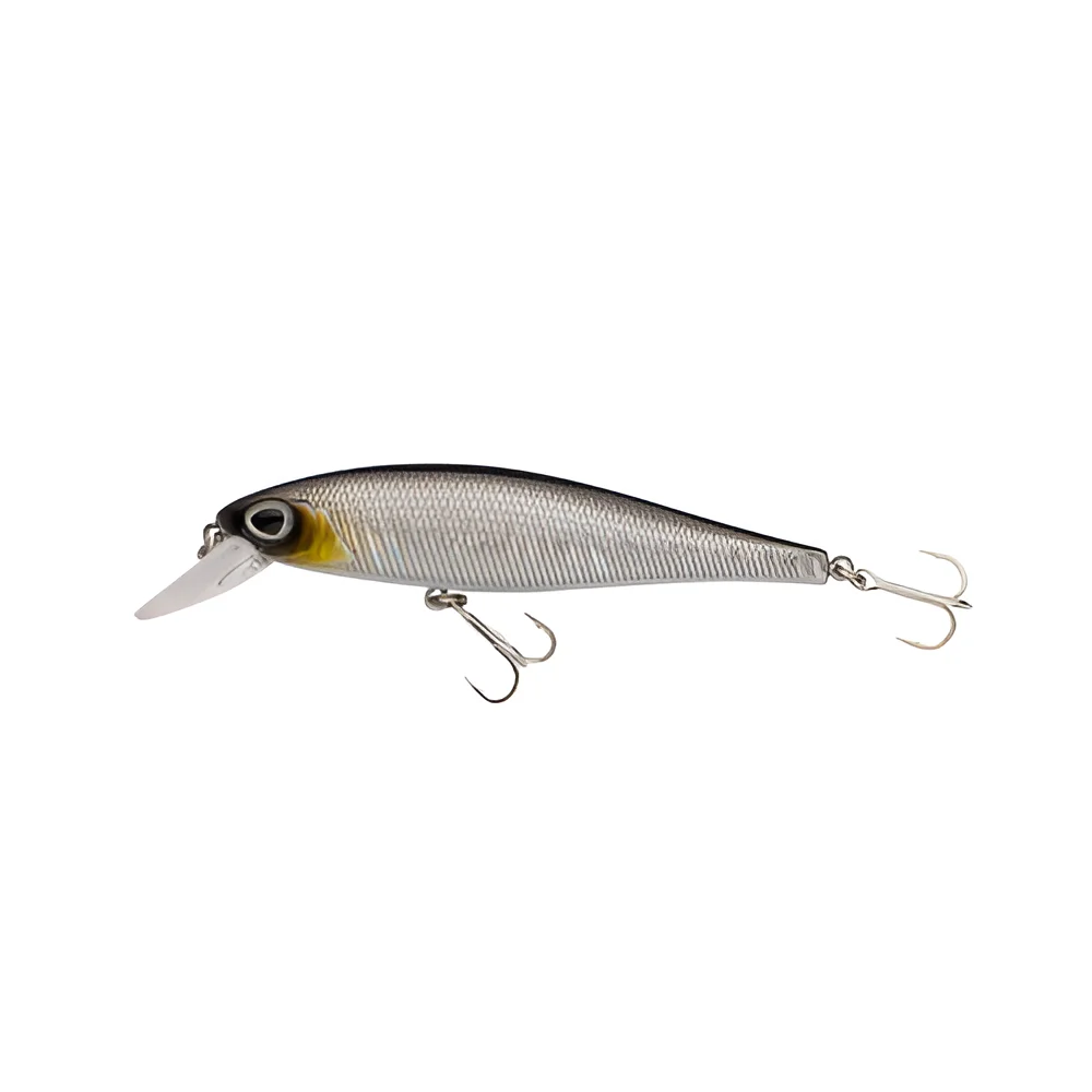 BAITFISH